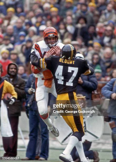 steelers1288's tweet photo. @POLIV411 @FSUEsqofSports @stylishsatirist @bsbllnbkns @Atomic_1979 @chrisvitali @gbgary54 @YouTube @SoulYellowkat Cris was great player, but Mel Blount put too many dents in his head, and we are reaping that sad consequence today on Sunday Night Football as Cris growls 🐅
for no apparent reason. Could’ve played in NBA. Maybe even 1B in MLB. #GGITC https://t.co/JJU5quknG1 @CollinsworthPFF https://t.co/lDBeqkMJyb
