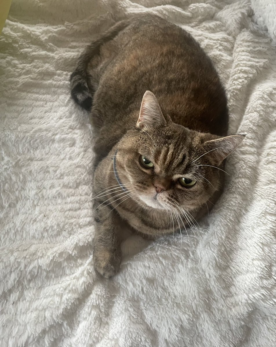 T O Я I tweet media