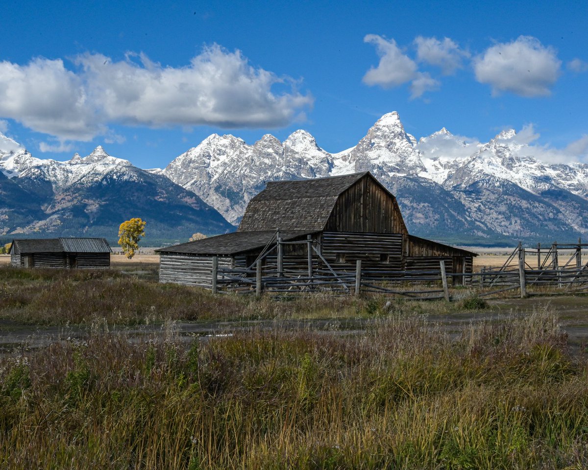 Tom_Lisi's tweet photo. @coachmegjade @tomlin_bruce hereβs one from @CareyPhoto βs neighborhood
#MormonRow #Wyoming #GrandTetons https://t.co/kVcRxGf36r