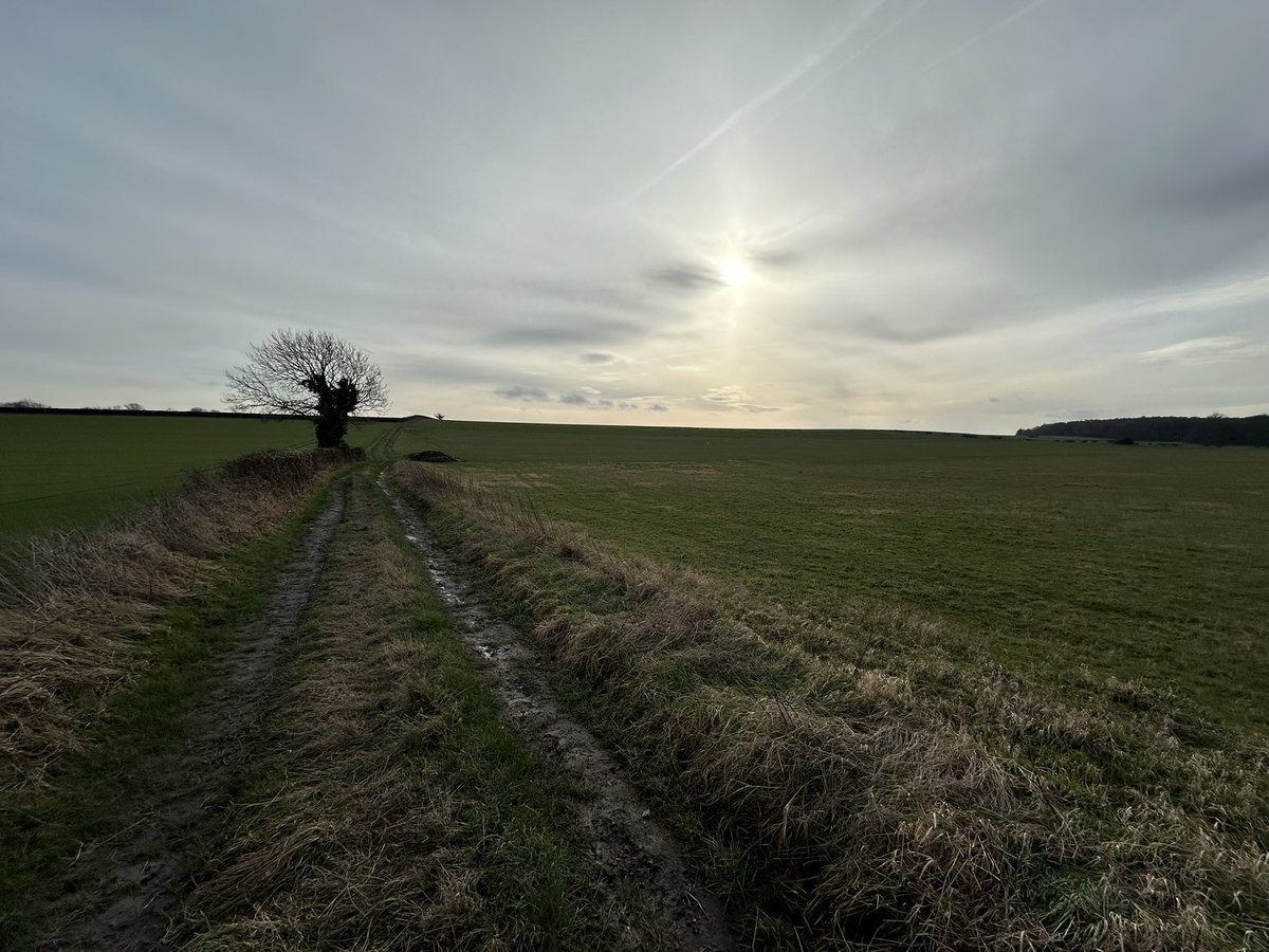 JenWalkingUK's tweet photo. Passing through fields and tree lined tracks, I wandered along and made my way to…. 🥾 https://t.co/AQ2k7GB9fJ