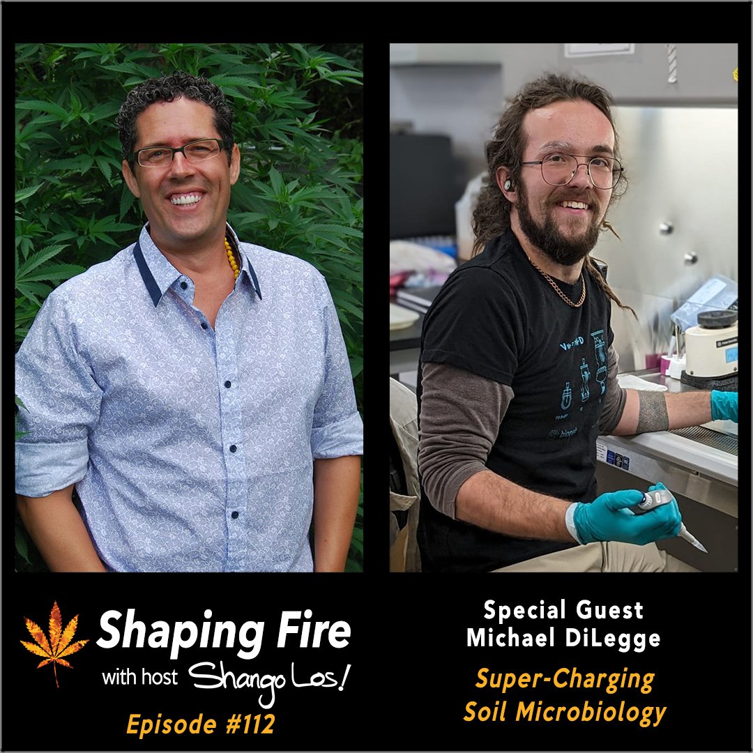 ShapingFire's tweet image. .@ShangoLos talks with microbiologist Michael DiLegge @miker0be about natural biostimulants, the care and feeding of microbe life in your soil, choosing companion plants to encourage root zone diversity, and an indictment of the 24-hour light cycle theory.