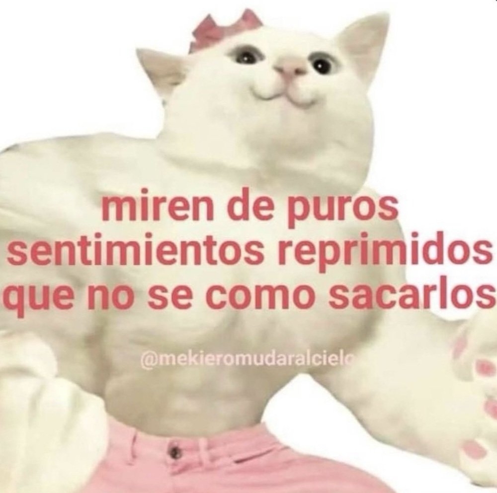 winwingalletita's tweet image. 🫦🫦🫦