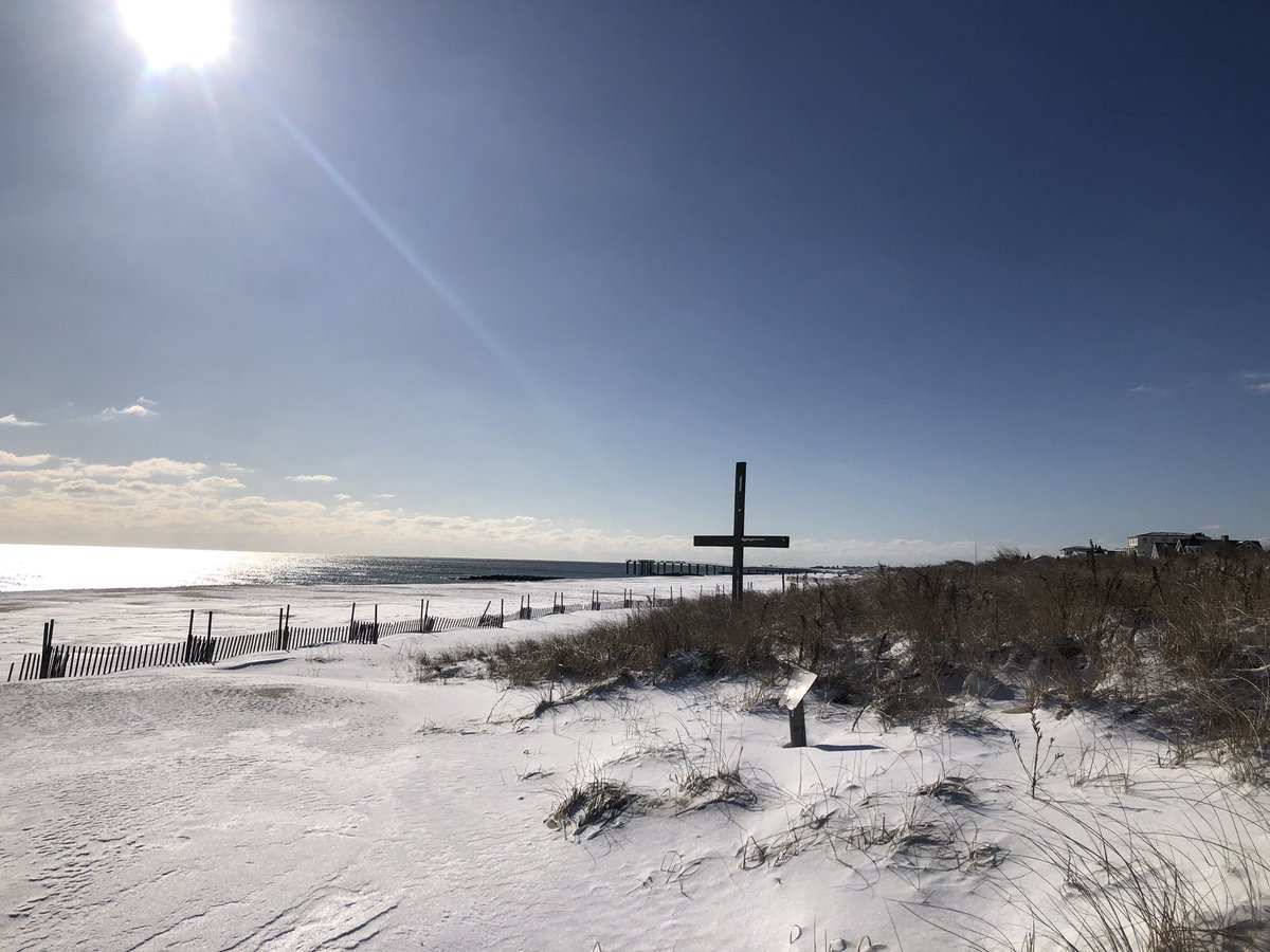 ZenAi Contact Support (@zenai_support) on Twitter photo 