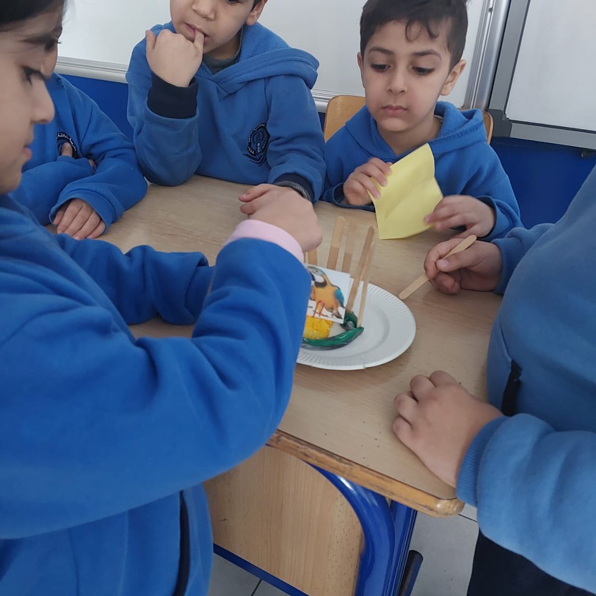 Little engineers applied engineering design steps and created a fantastic parrot cage.<a href="/MakAishaSchool/">MakAishaSchool</a> 
<a href="/NElakhdar/">Nour elakhdar</a>