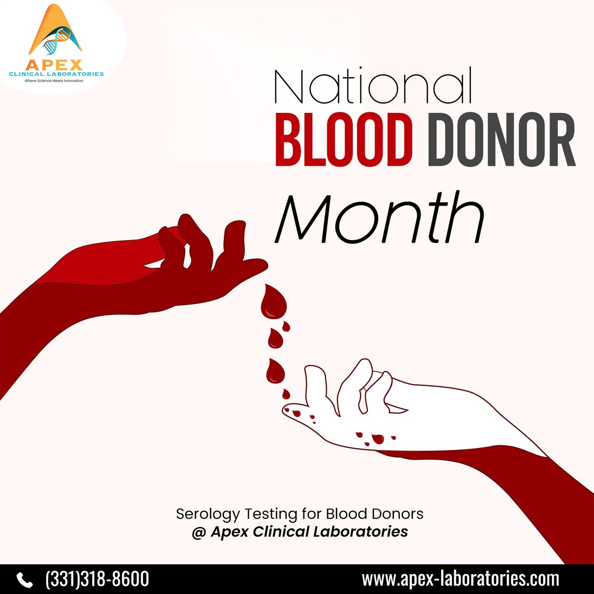 ClinicalApex's tweet photo. #Serologytesting detects antibodies in your blood aiding disease diagnosis. Our testing provides deep insights into the immune system, infectious diseases. This #NationalBloodDonorMonth, #ApexClinicalLaboratories offers #serology for #BloodDonors with fast, accurate results. https://t.co/aoASosCUzy