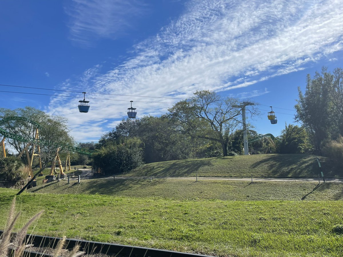 Michael Muldoon tweet media