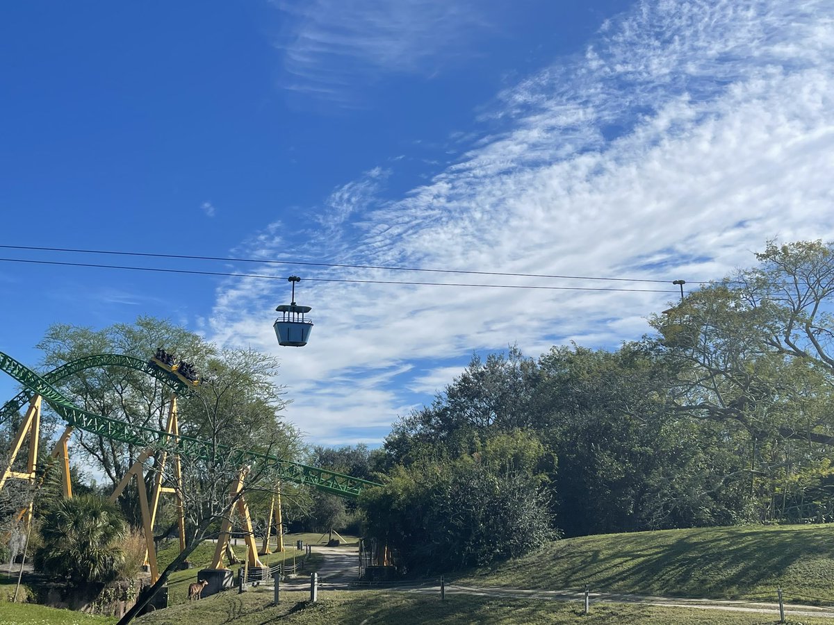 Michael Muldoon tweet media