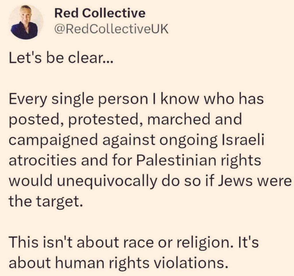 HenMazzig's tweet photo. Let's be clear, none of you marched for us on October 7th.

Or any day since... https://t.co/tkWizAUYTZ