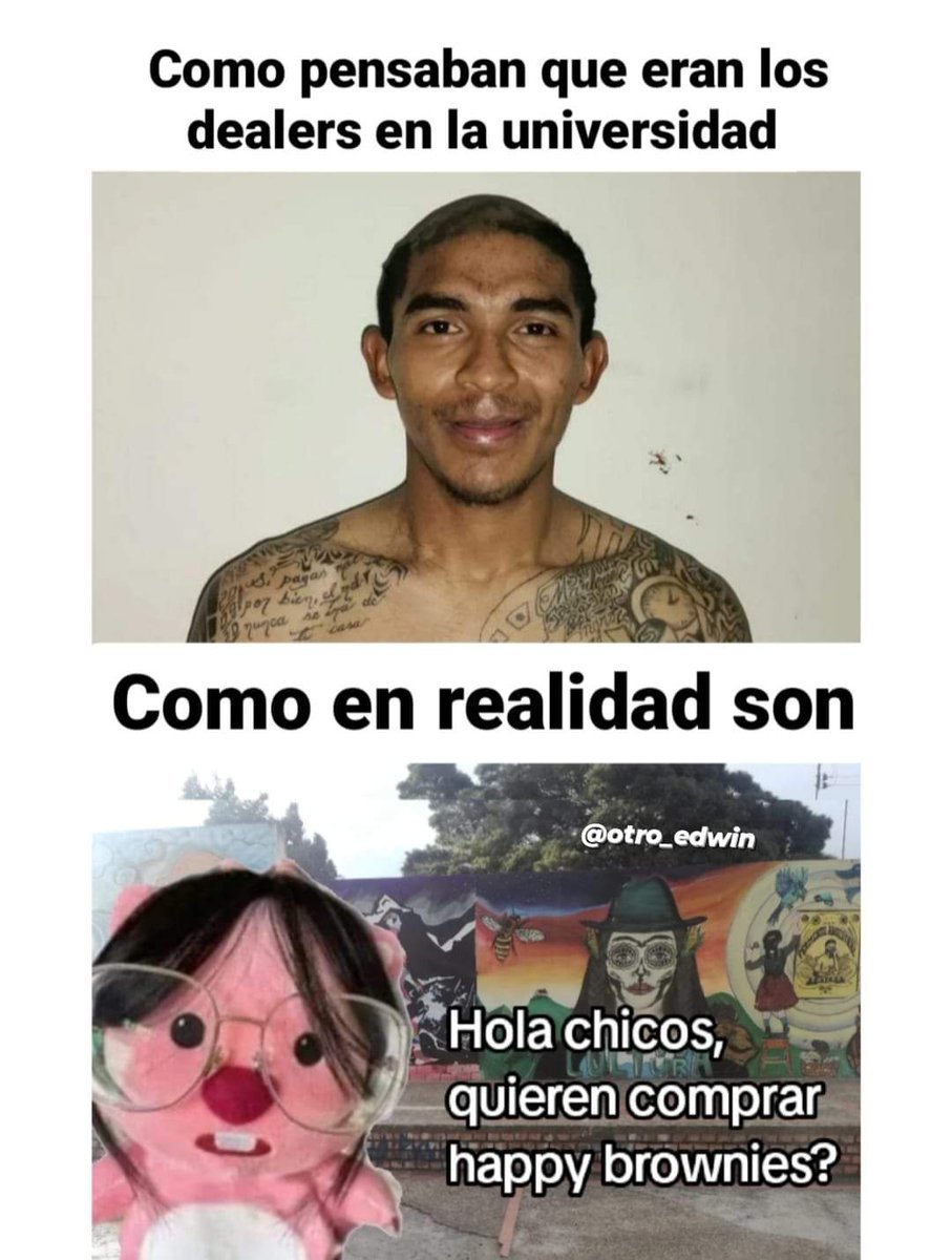 nacional_memes's tweet image. 🐨