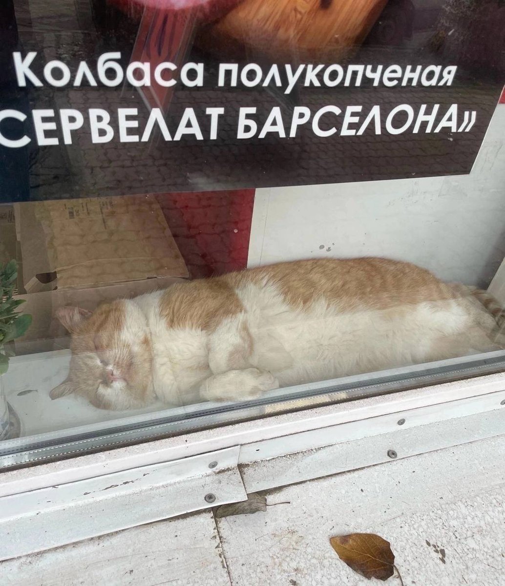 Russia_NC's tweet photo. https://t.co/hNS9GEELv1