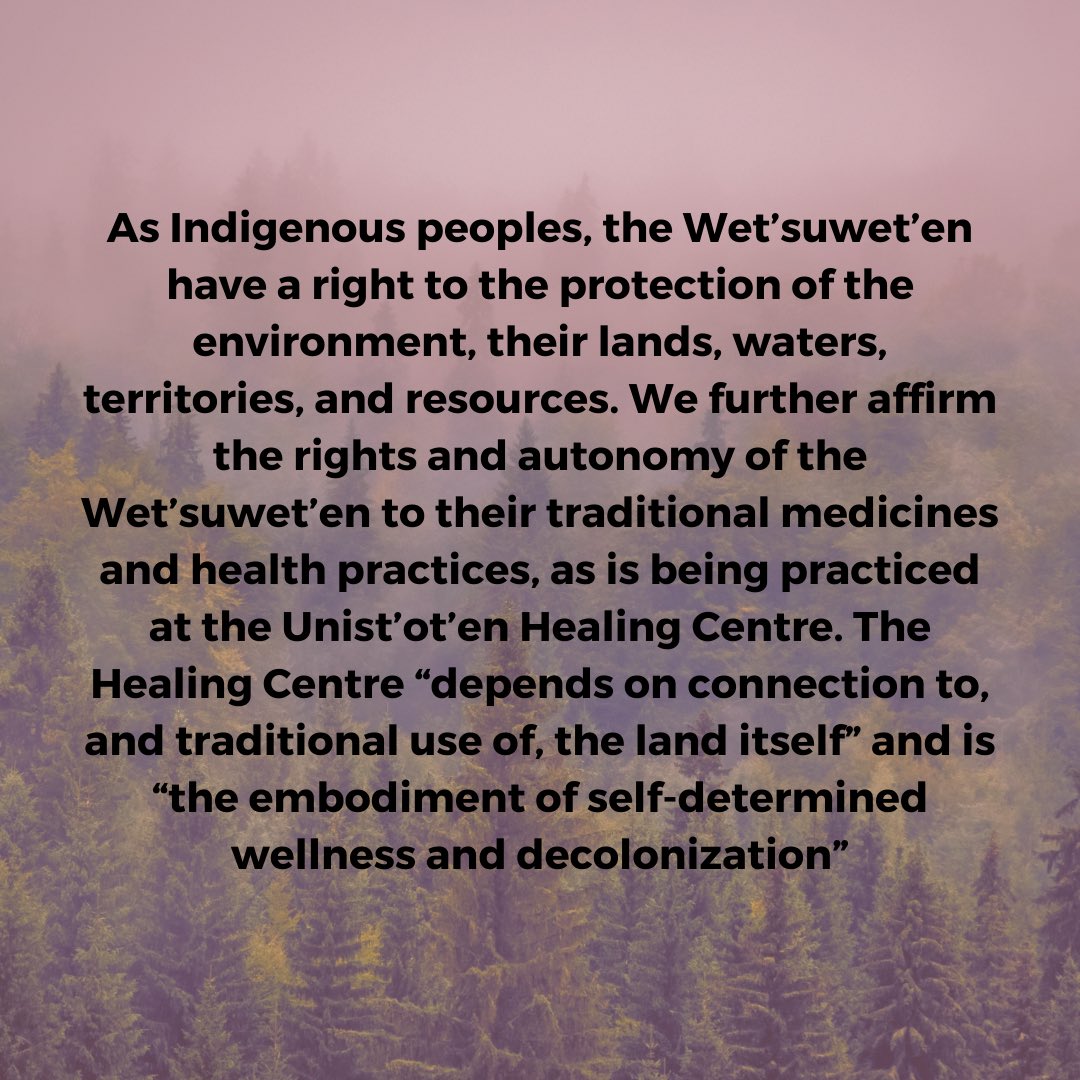 Health Workers Alliance for Palestine tweet media