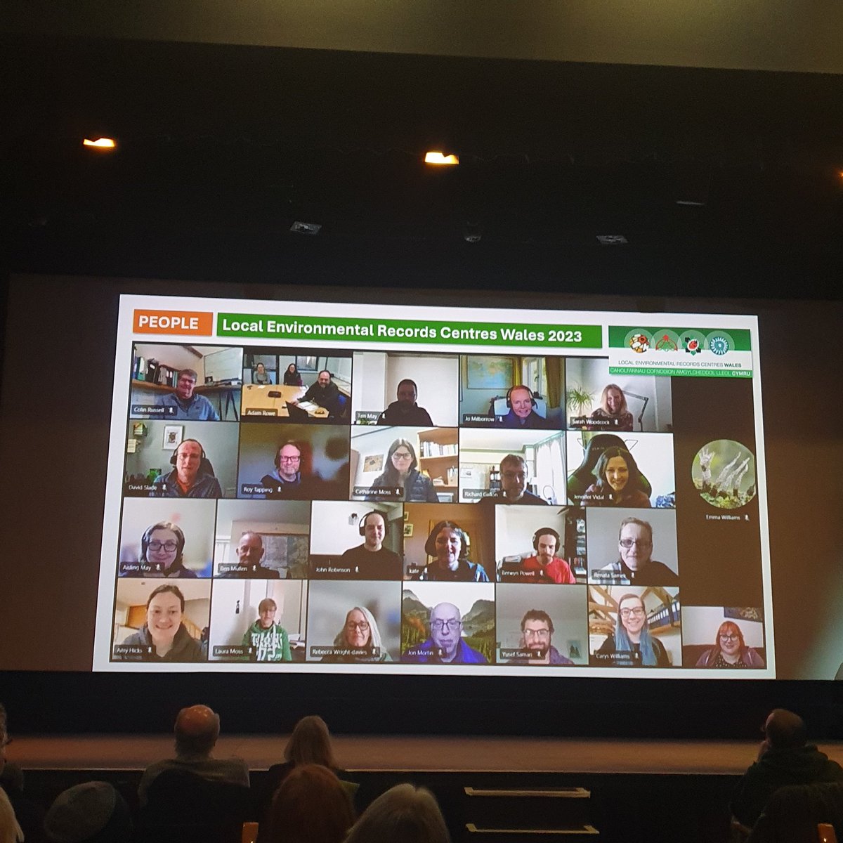 A twenty year update from our CEO Adam highlighted the Recorders, data, staff and organisations which have helped SEWBReC go from strength to strength since 2004