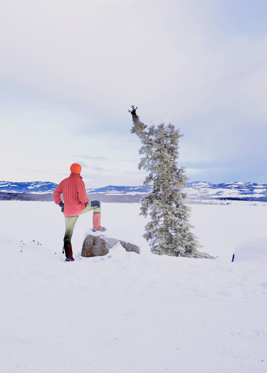 It's -40 degrees in my neck of the woods in the Yukon. I'm observing the frozen lake near my cabin, in the company of an ageless tree friend. The scene outside is the epitome of calm and serenity, with an uninterrupted, pristine blanket of white snow that seems to stretch