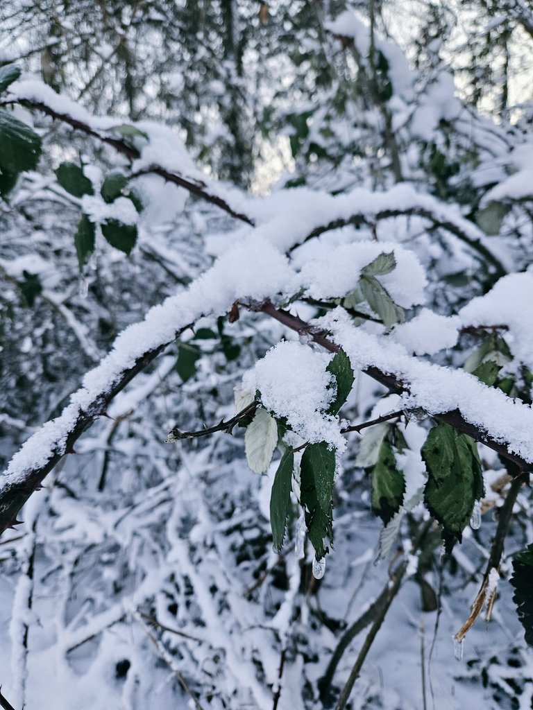 SmarterThanMyPhone tweet media