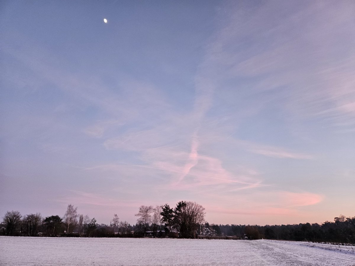 SmarterThanMyPhone tweet media