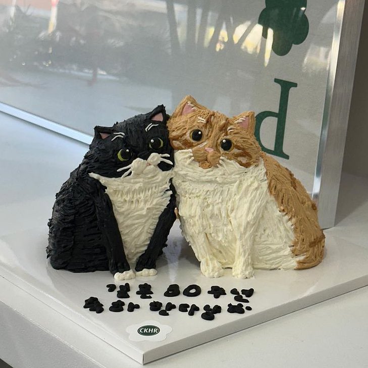 abaneleci's tweet photo. 🐱 ⋆  🐶 https://t.co/lmlF0AuMPP