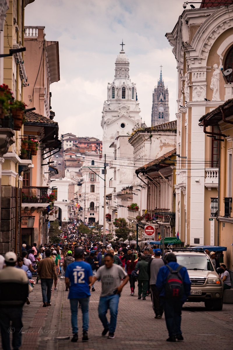 Design & Tradition tweet media