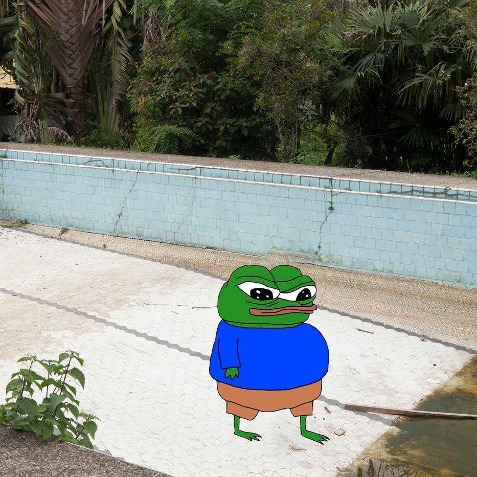 0xdanii 🦍 tweet media