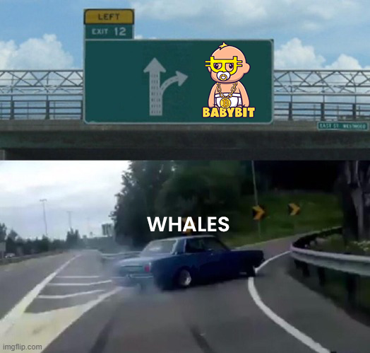 BabybitBnb's tweet photo. The #WHALES is ready for BabyBit
#btc #bnb #cry https://t.co/L0V84rIylT