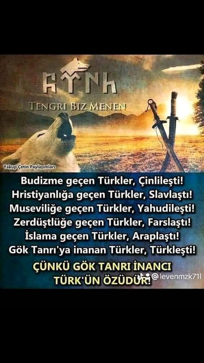 Özüne dön Türk