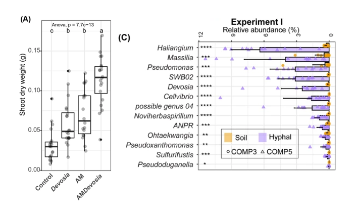 van der Heijden Lab tweet media