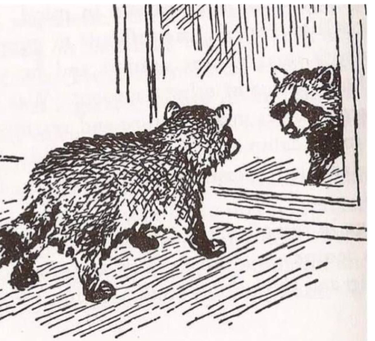 What X feels like when you have no followers