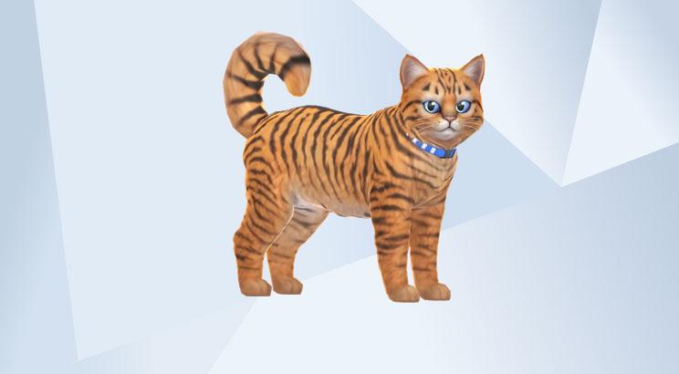 KittySnowball5's tweet photo. On the Gallery now ♥
Hunter & Midnight ♥
#CATS
#SIMS4
Pose by #guycuk https://t.co/ry9CgGywSa