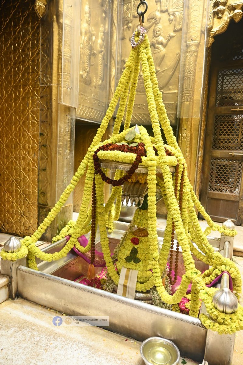 ShriVishwanath's tweet photo. दिनांक 20-01-2024 को श्री काशी विश्वनाथ मंदिर में शयन आरती के भव्य दर्शन  #ShriKashiVishwanath #Shiv #Mahadev #Baba #Temple #Darshan #Blessings #BhogAarti #Varanasi #Aarti #Kashi #Jyotirlinga #VishwanathDham https://t.co/Wtdkhxk5Xh
