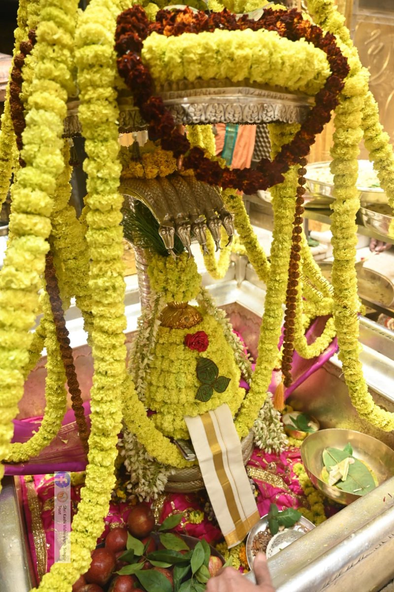ShriVishwanath's tweet photo. दिनांक 20-01-2024 को श्री काशी विश्वनाथ मंदिर में शयन आरती के भव्य दर्शन  #ShriKashiVishwanath #Shiv #Mahadev #Baba #Temple #Darshan #Blessings #BhogAarti #Varanasi #Aarti #Kashi #Jyotirlinga #VishwanathDham https://t.co/Wtdkhxk5Xh