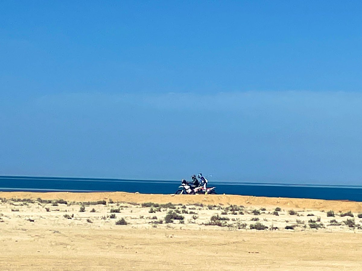 Iwai Fumio🇯🇵 tweet media