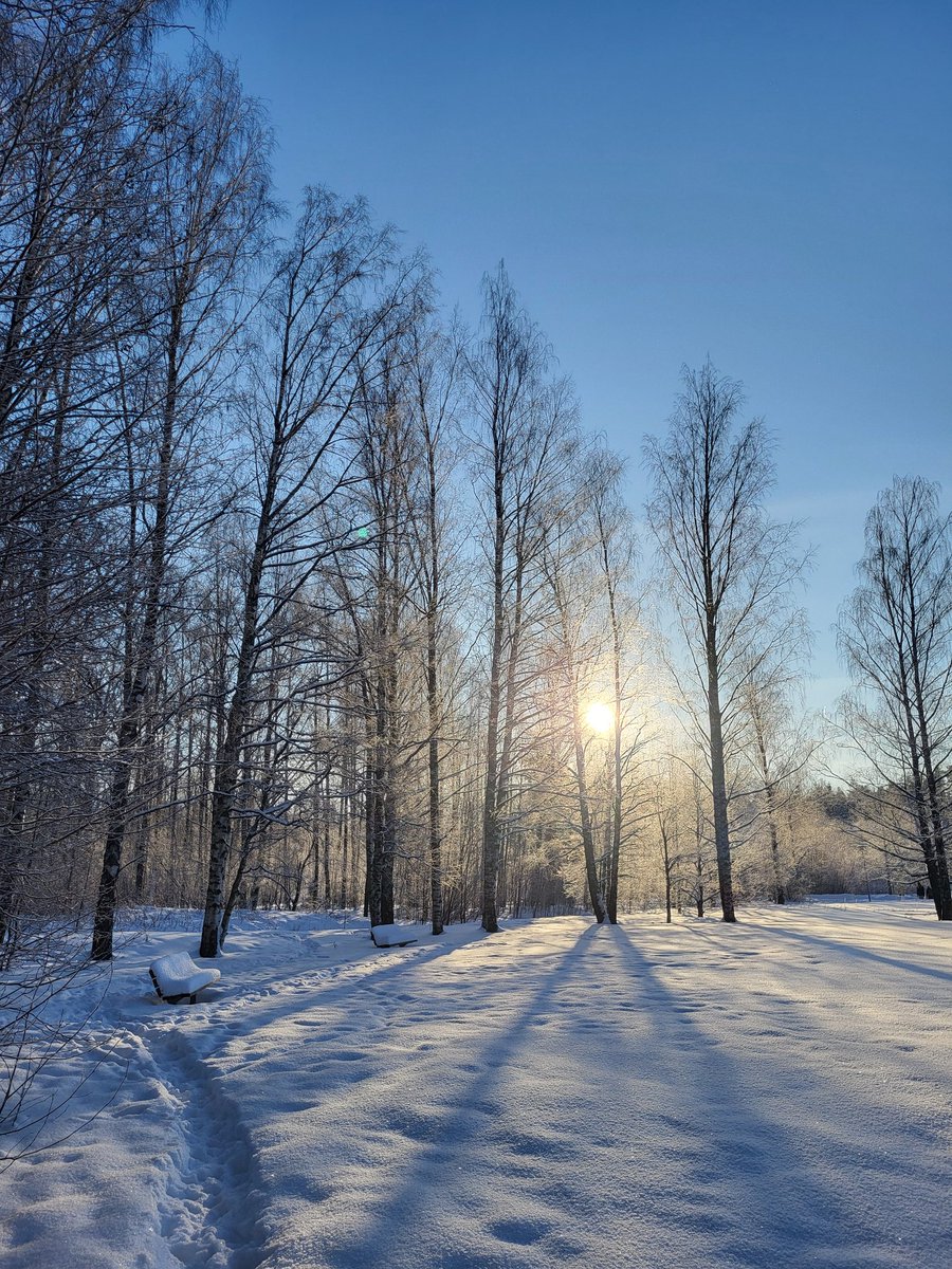 lottaskimo's tweet image. Espoo, Finland , 20/01/24
