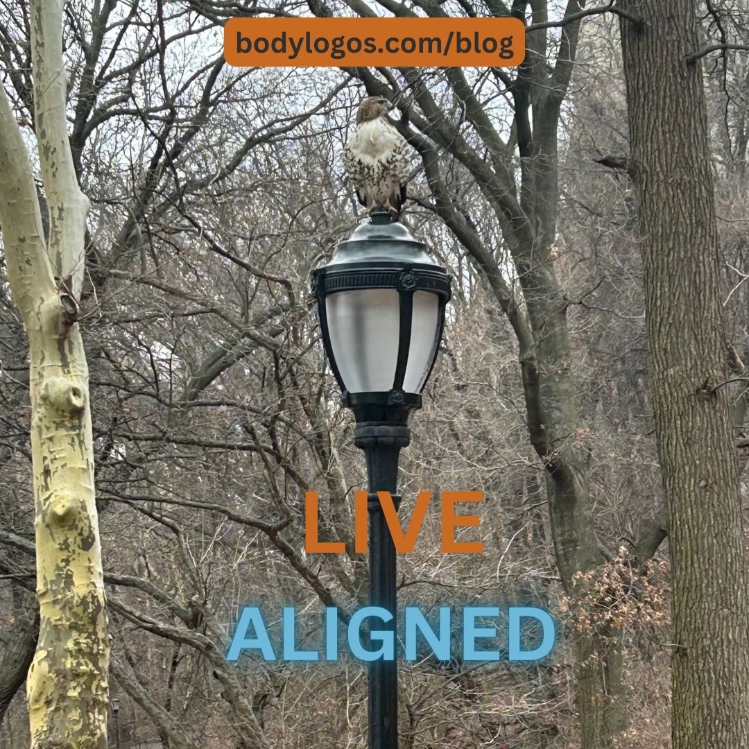 BodyLogos's tweet image. Nature shows us our Striving Nature. Not as competition or self-actualization, but as A Way. A Way to live deliberately.

Mind Body Alignment is A Way to live deliberately. I write a monthly blog about living an aligned life. Link is in bio.

#mindbodyspirit #alignment #taoism