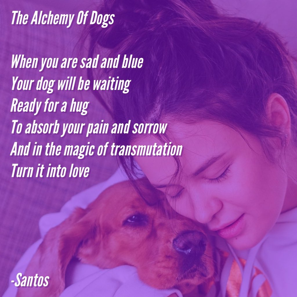 ‘The Alchemy Of Dogs’ ~ Words Of Santos

Image courtesy of Ivan Babydov

Truly our best friends, dogs are sponges, turning everything into love.

#dogs #mansbestfriend #lovesponge #caninecompanions #dogquotes #love #wordsofsantos