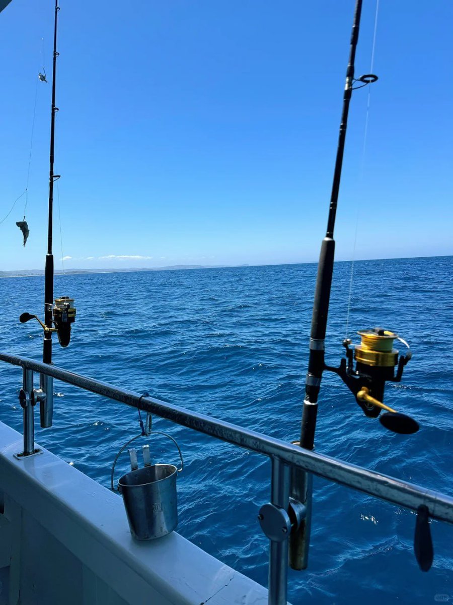 海口女王 海口离婚女王 海口少妇女王 tweet media
