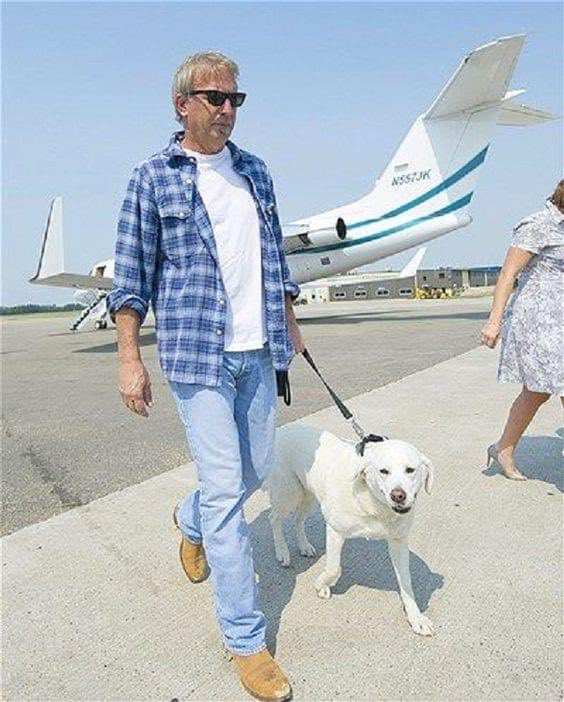 #KevinCostner has a pack of 8 dogs.His most well-known pooch is Daisy. She became famous in 2010 for photos alongside Costner as they saved shelter dogs from devastating wildfires in California. Over 2 flights from California to Canada, Costner and Daisy saved over 150 dogs! 🐶✈️