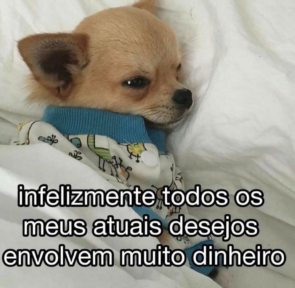 Trouxinha (@euovitinn) on Twitter photo 