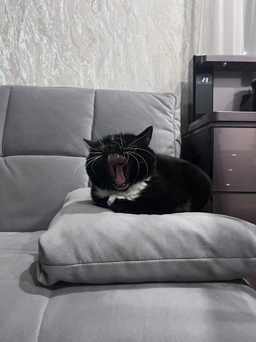 amelalzks's tweet photo. скучали по ней? https://t.co/K28p2XOI2W