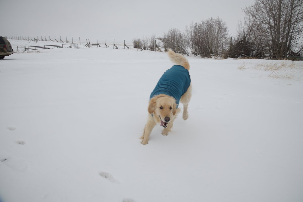 River sure liked the snow yesterday.