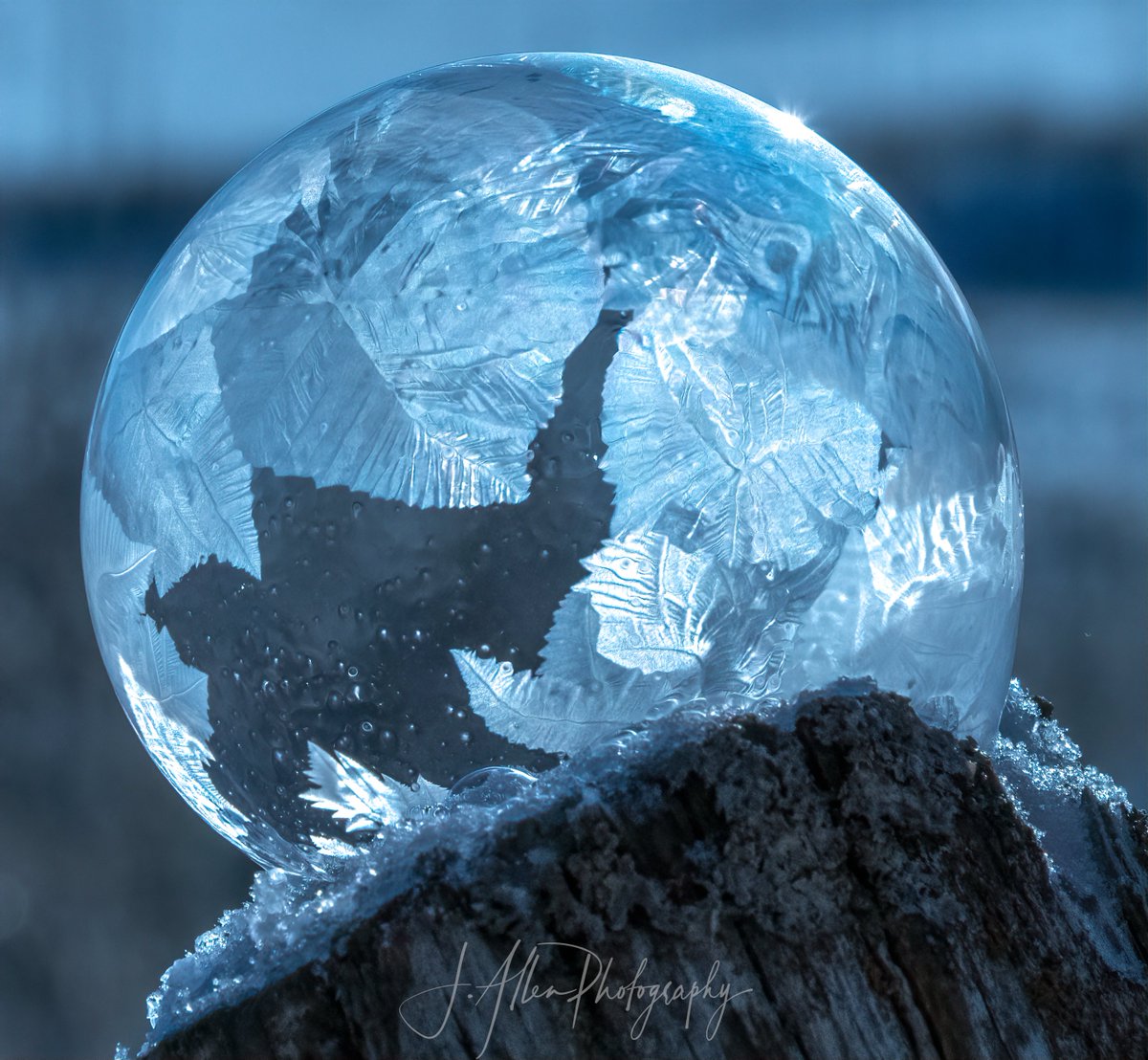 It's frozen bubble picture time!!!  It's one of the only reasons to head out into this frozen tundra we call Minnesota :) #frozenbubbles #ruralmnphotography #winteractivities @mark_tarello @CodyMatzFox9 @KeithMarlerFox9 @NWSSiouxFalls @BelindaKARE11