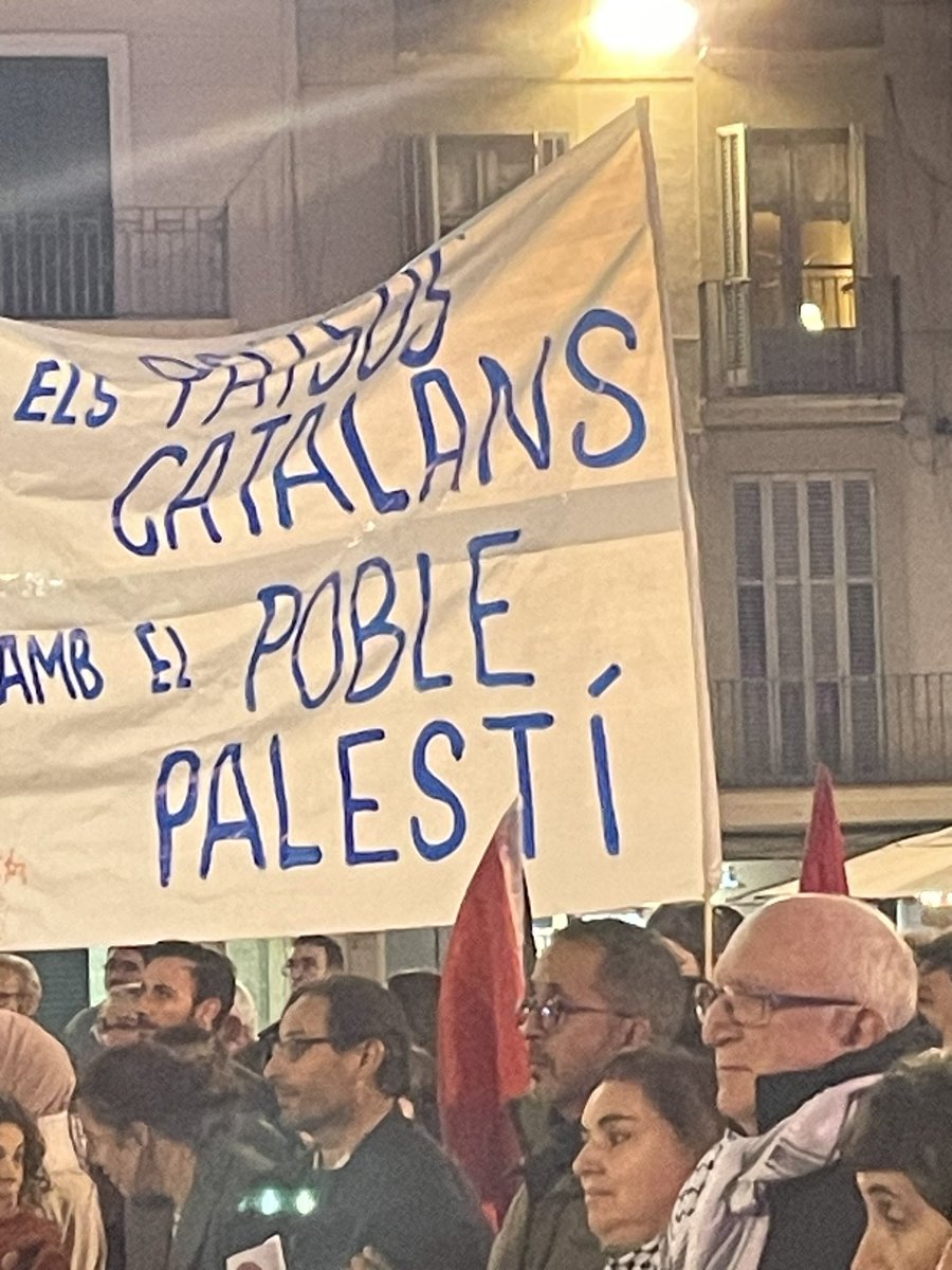 PaulaVarasG's tweet photo. Solidaritat amb el poble Palestí https://t.co/e8MuSpHgqh
