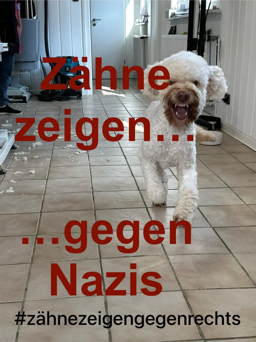 Auch mein Hund kann sie nicht leiden und macht mit… #zähnezeigengegenrechts #NieWiederIstJetzt