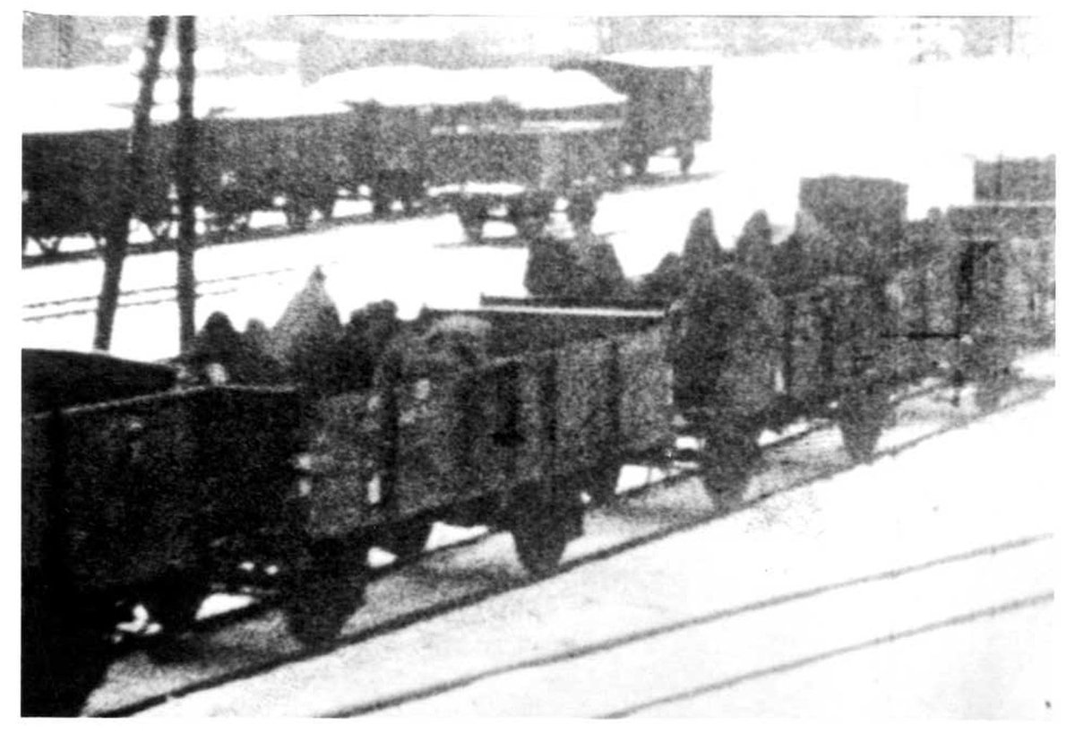 AuschwitzMuseum's tweet photo. #NewPodcast 

"Death Marches from Auschwitz towards Wodzisław Śląski and Gliwice"    

On January 17, 1945, SS men began the evacuation of the Auschwitz camp. Approximately 56,000 prisoners – men and women marched, under armed escort, from different parts of the Auschwitz camp complex, towards Wodzisław Śląski and Gliwice. Thousands of people, during the so-called Death Marches, lost their lives. 

Dr. Jacek Lachendro and Teresa Wontor-Cichy from the Research Center of the @AuschwitzMuseum  talk about details of those tragic events.

Listen here: https://t.co/X3yVyiTlG8

We wish to thank @jonjetter from the Right Angle Productions & Brooke Stocken for their help in production of the English version of the #podcast.