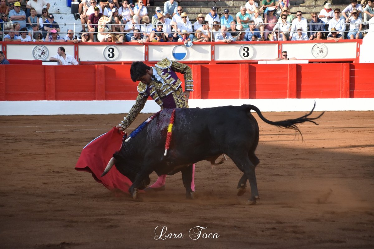 burladerotv's tweet photo. 📝ENTREVISTA

👉Manuel Caballero: "Santander siempre ha sido una de mis plazas, ojalá pueda repetir actuación en esa gran feria"
https://t.co/XIpjuJQumy

✍️Por Carmen de la Mata
📸Lara Toca https://t.co/RTtIZBlZEt