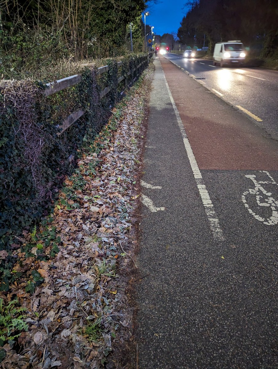 WesleyKel's tweet photo. Great and quick work by @KildareCoCo to follow up my request to clear the undergrowth from the Hazelhatch pathway in #celbridge. Less than 2 days from logging the call. 
Now resurface the bike lane. https://t.co/7aF0LN653V