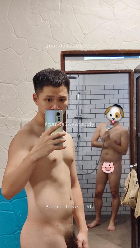 Pandaloveteddy tweet media