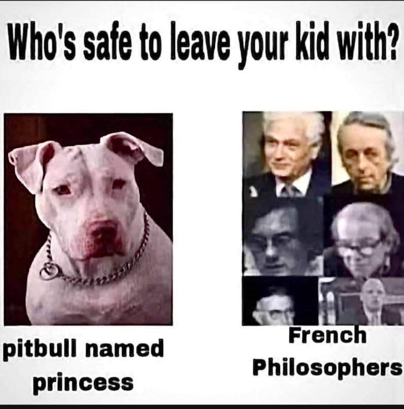 sigma female (@ligmaphemoid) on Twitter photo 