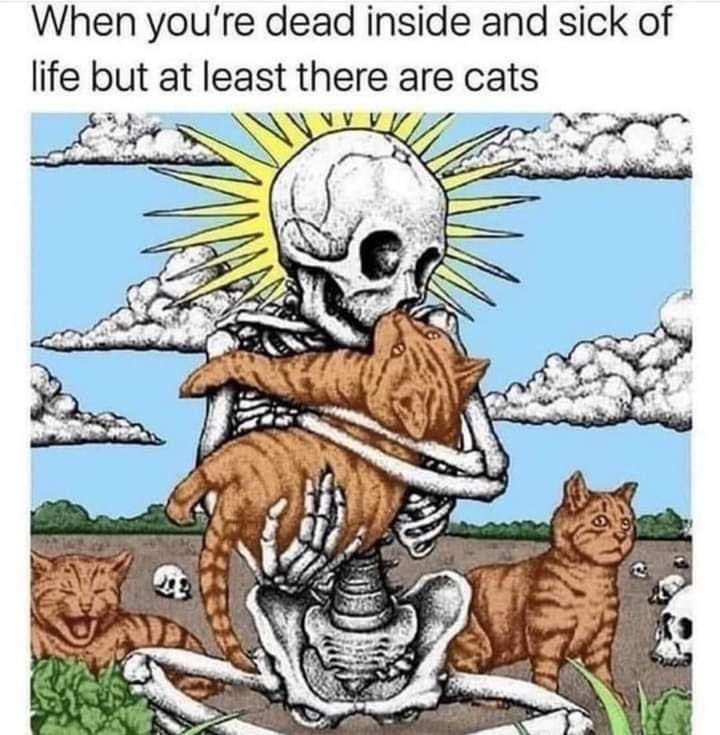 Satan (@s8n) on Twitter photo 