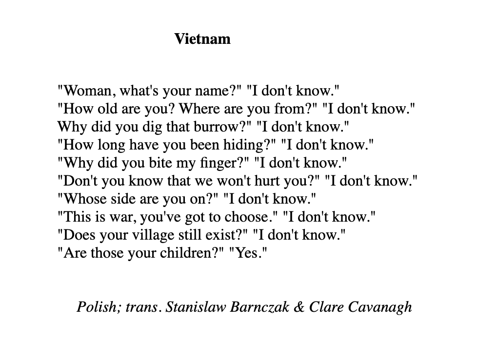 sheer_awe's tweet photo. I will never stop thinking about this poem by Wislawa Szymborska. I will never stop saying Free Palestine with my whole chest. https://t.co/dpfRrFaOei