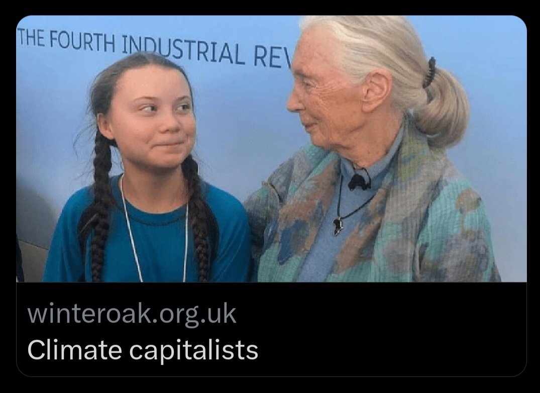 Yohmini2's tweet photo. New webpage with usefull links by @WinterOakPress to inform people about the #Manipulation by business interests ( #ClimateCapitalists) of the global movement to save the planet.
π
https://t.co/UoXrrpiqwQ https://t.co/s8tvXz0IHy