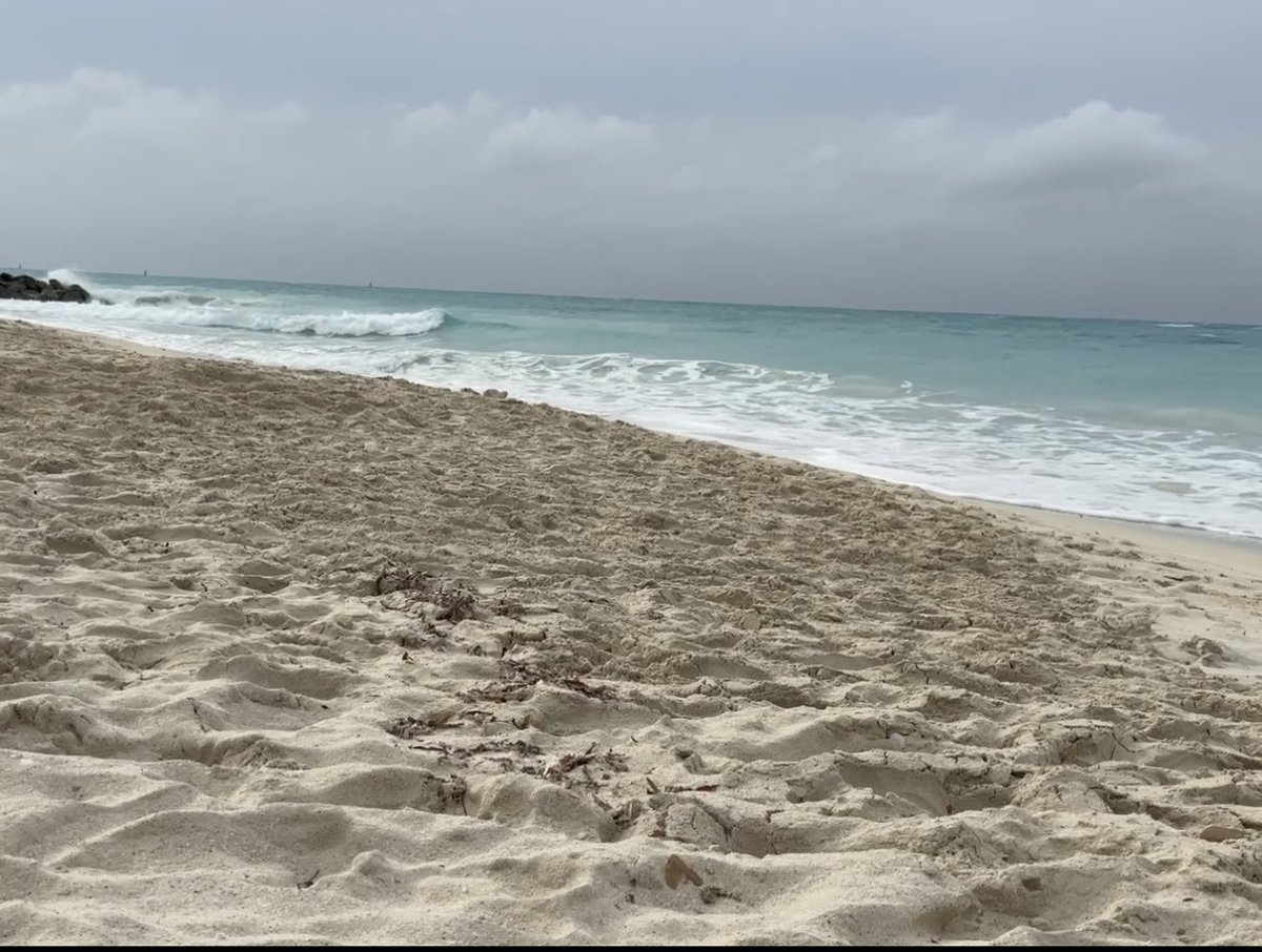 Jon Tanous tweet media